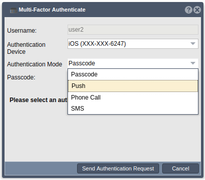 Selecting push auth mode.png