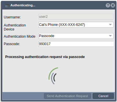 Auth processing via passcode.png