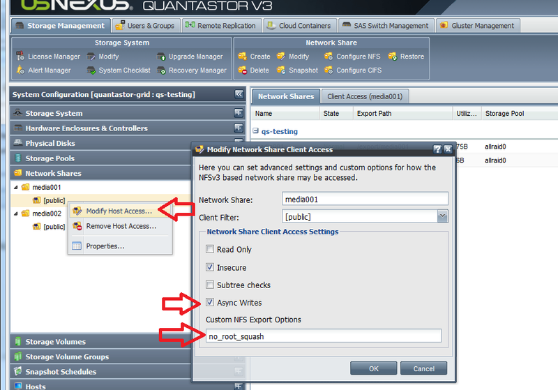 NFS v4 share configuration